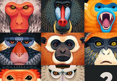 Illustration design portfolio example